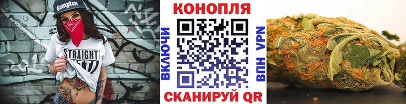 Шишки марихуана сатива  мега как зайти  Фурманов  как найти закладки 